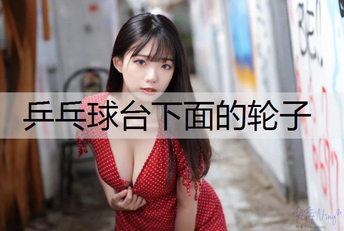 乒乓球台下面的轮子