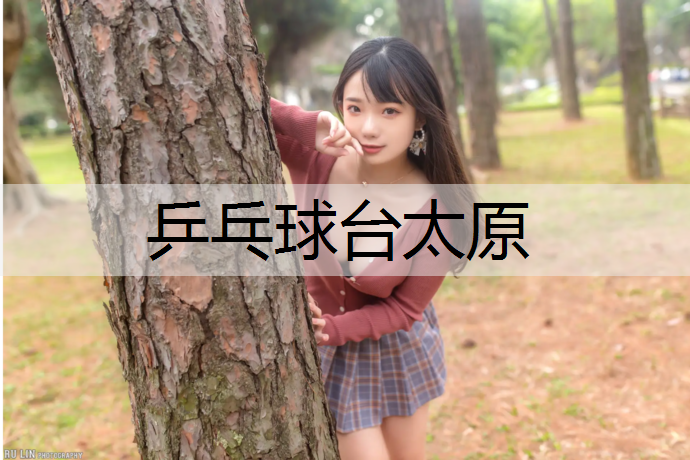 乒乓球台太原