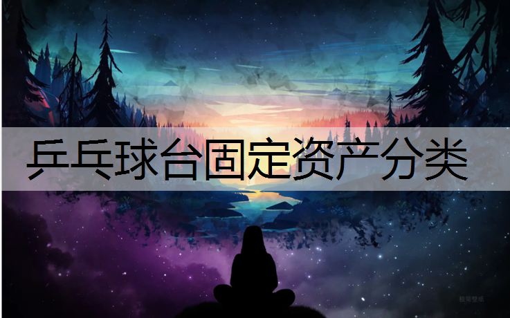乒乓球台固定资产分类