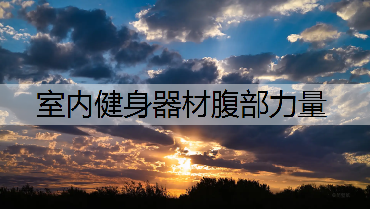 室内健身器材腹部力量
