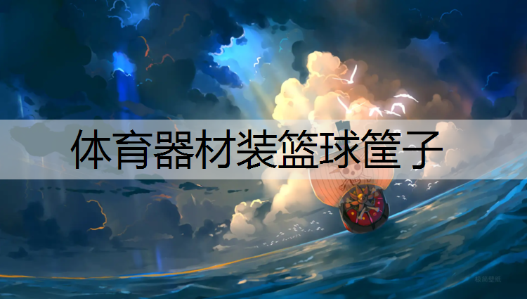体育器材装篮球筐子