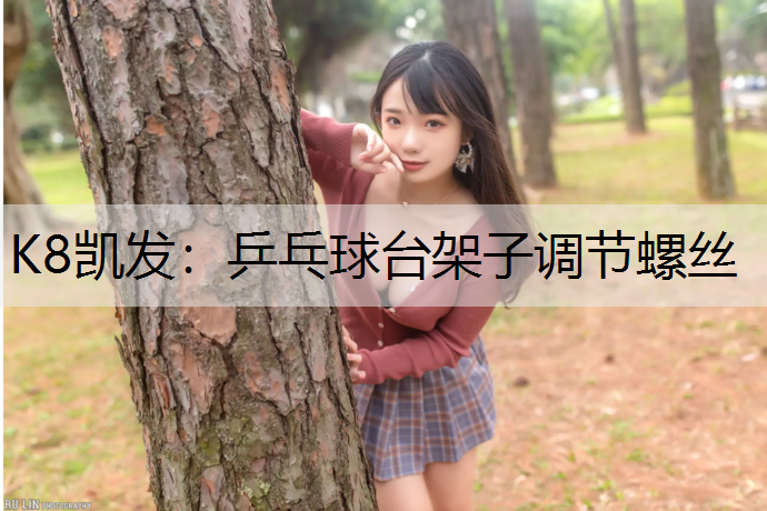 乒乓球台架子调节螺丝