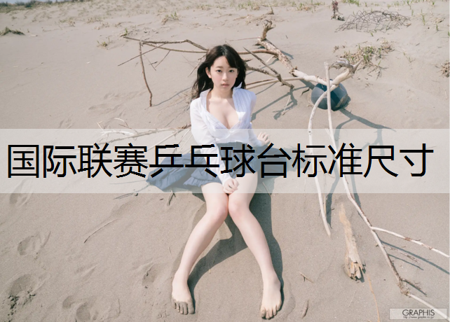 国际联赛乒乓球台标准尺寸