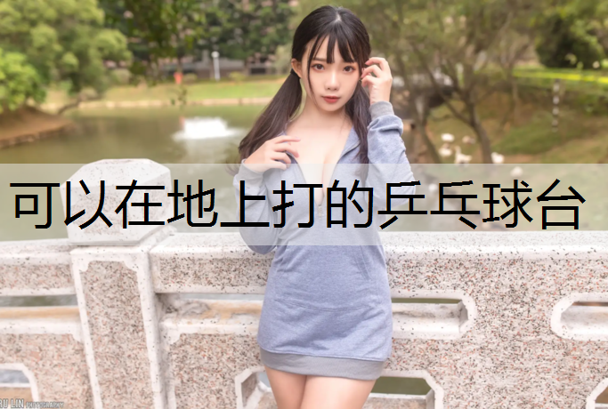 可以在地上打的乒乓球台