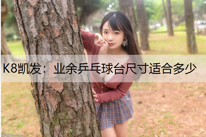 业余乒乓球台尺寸适合多少