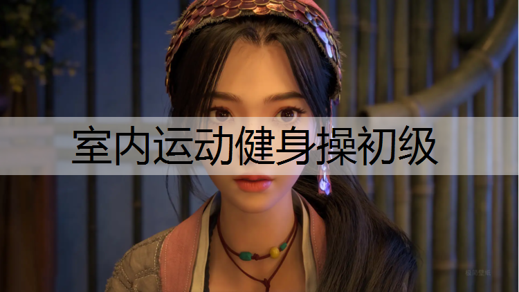 室内运动健身操初级