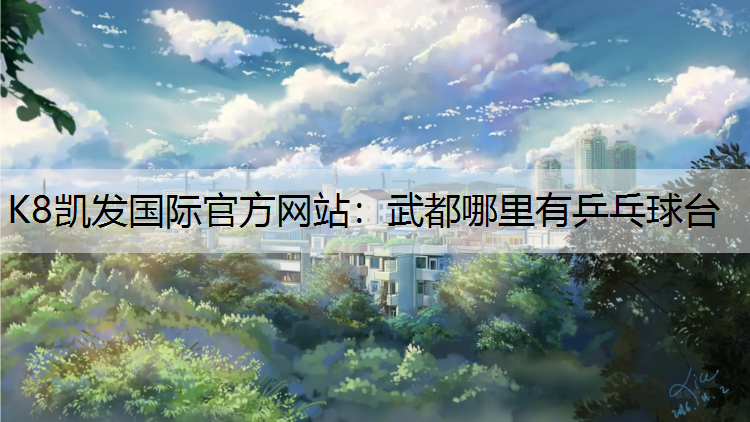 武都哪里有乒乓球台