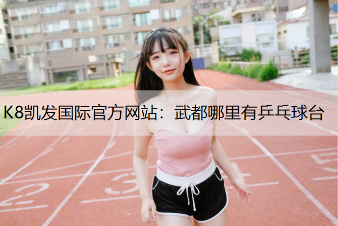 武都哪里有乒乓球台